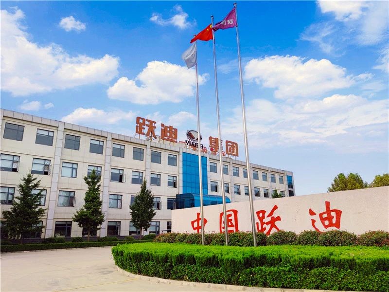 零排放 低噪音丨躍迪集團(tuán)新能源觀光車(chē)發(fā)往江蘇